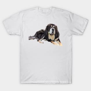 Tibetan Mastiff Big Fluffy Dog T-Shirt